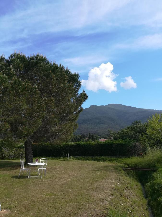 Le Quatorze Lägenhet Laroque-des-Albères Exteriör bild