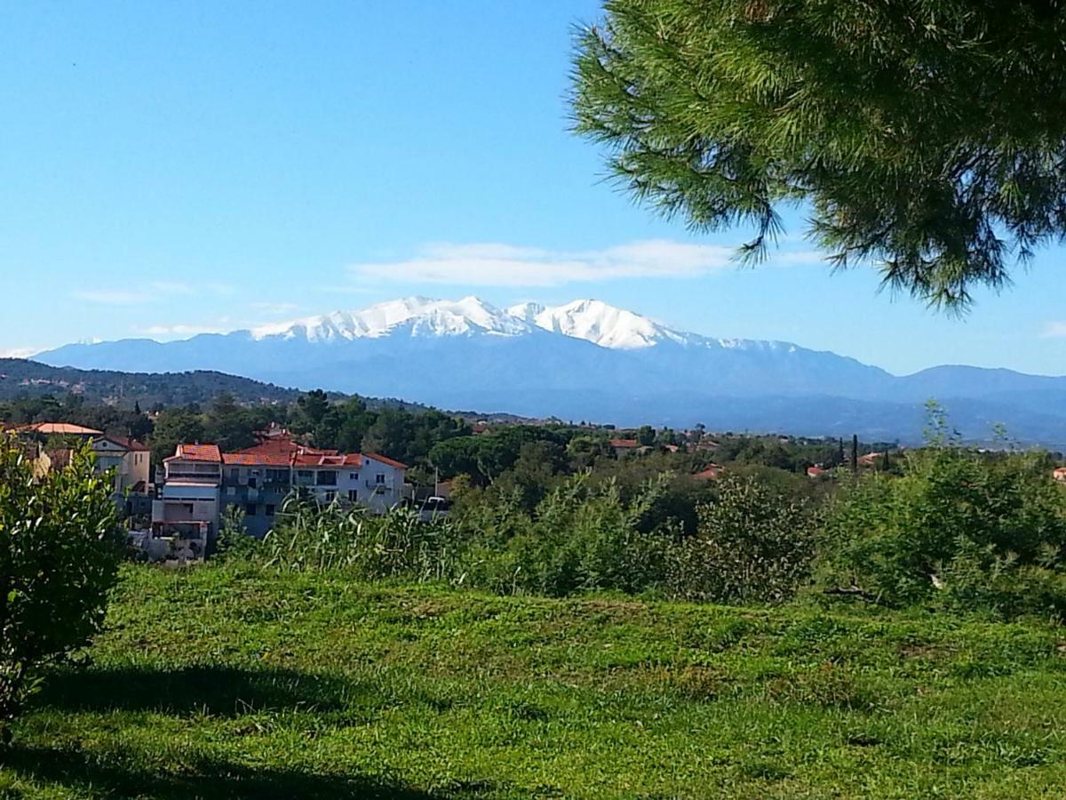 Le Quatorze Lägenhet Laroque-des-Albères Exteriör bild
